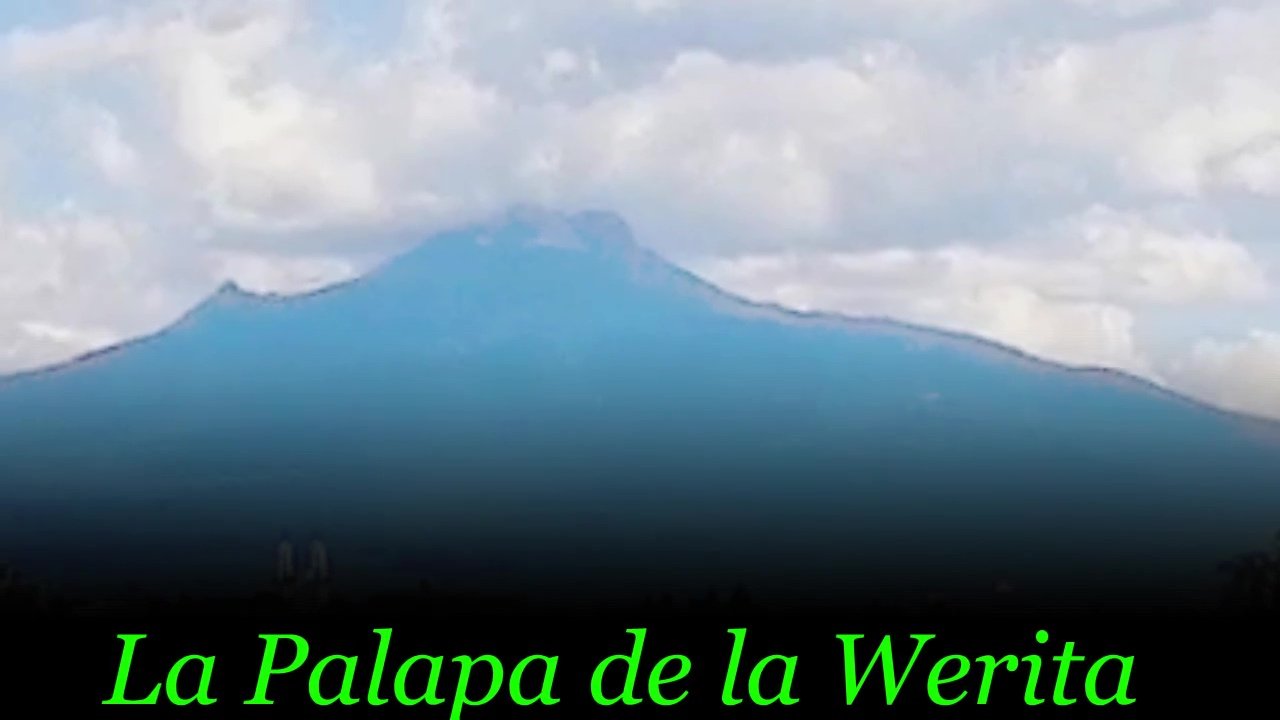 La Palapa de la Werita